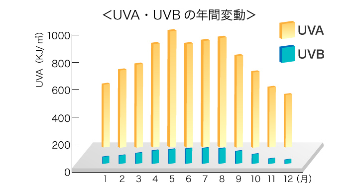 年間　UV-A・UV-B量グラフ
