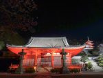 世界的に有名な照明デザイナーが彩る『西國寺』のライトアップ