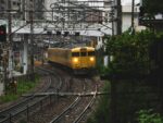 6月30日(月)～7月6日(日)の予約状況のお知らせ