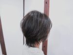 ショートレイヤー