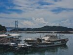 7月28日(月)～8月3日(日)の予約状況のお知らせ